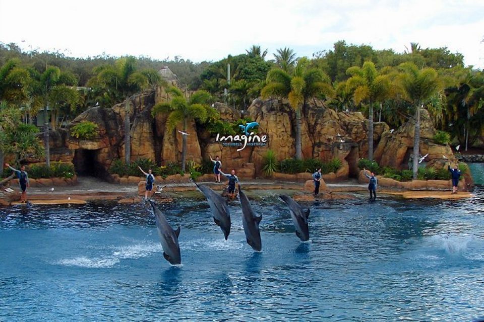 australia-queensland-gold-coast-sea-world